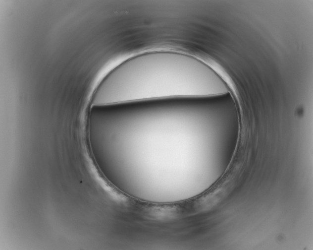 X0000092211053200709140858