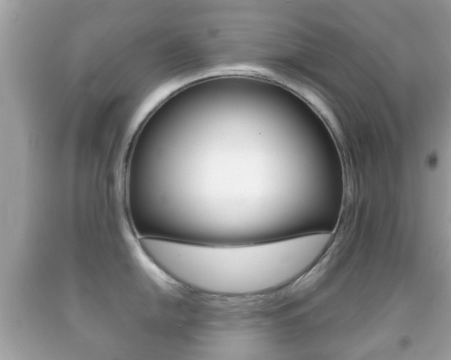 X0000092211054200709140858