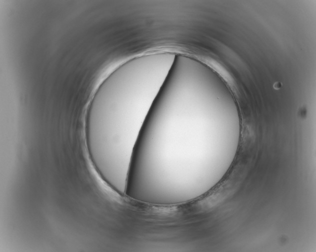 X0000092211055200709140858