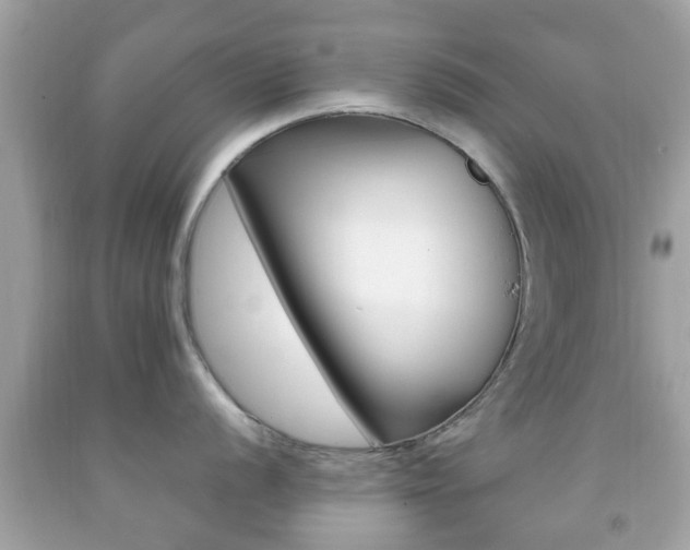 X0000092211056200709140858