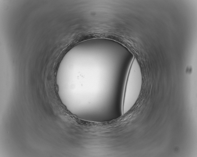 X0000092211057200709140857