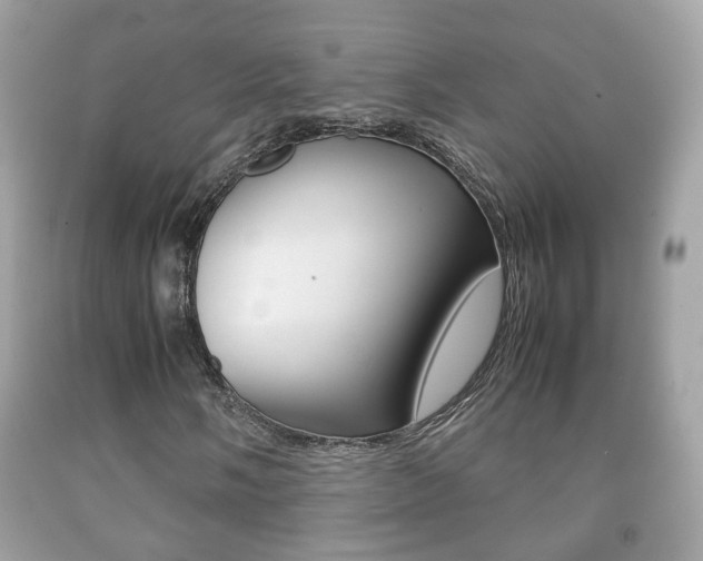 X0000092211058200709140857