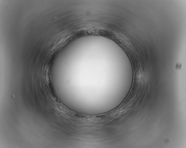 X0000092211060200709140857