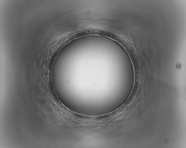 X0000092211061200709140857