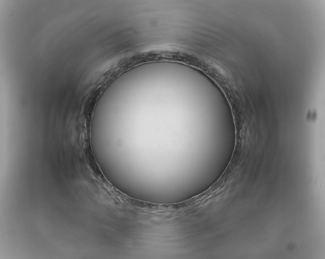 X0000092211062200709140857