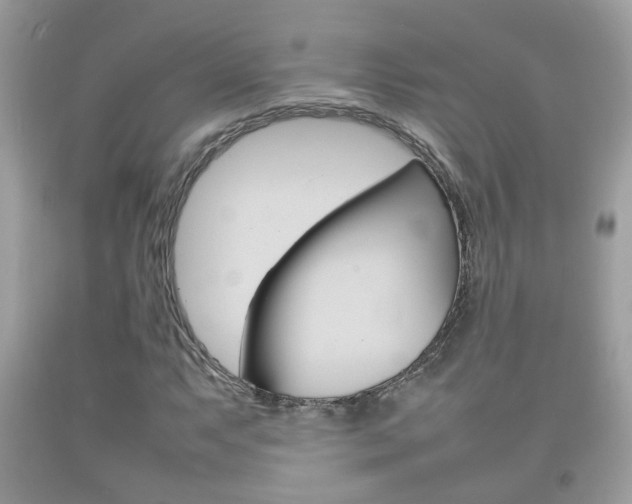 X0000092211063200709140857