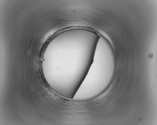 X0000092211067200709140857