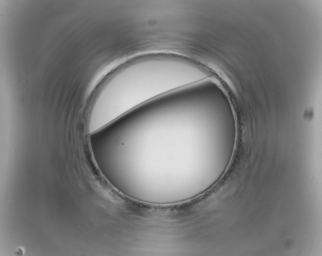 X0000092211069200709140857