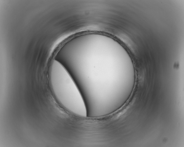 X0000092211070200709140857