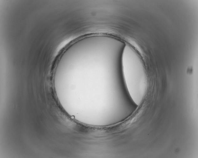 X0000092211071200709140857