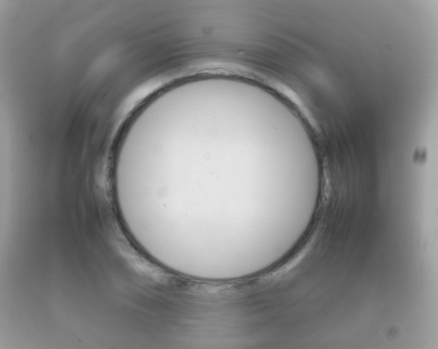 X0000092211074200709140857