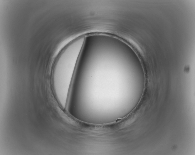 X0000092211077200709140857
