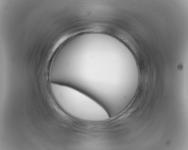 X0000092211083200709140857