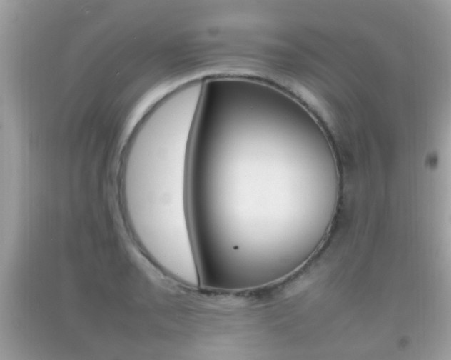 X0000092211085200709140857