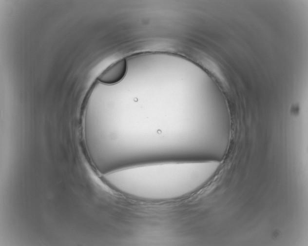 X0000092211087200709140857