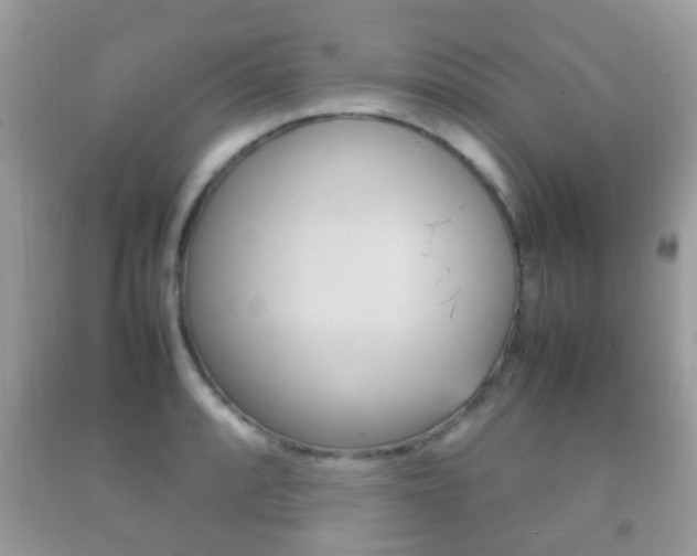 X0000092211088200709140857