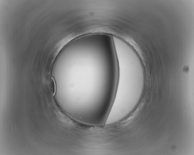 X0000092211089200709140857