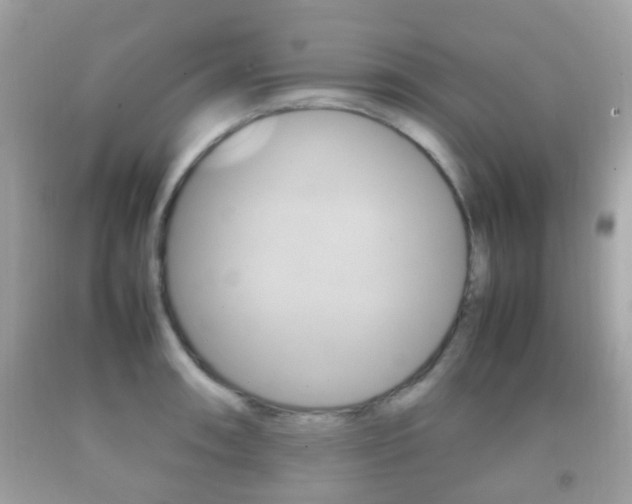 X0000092211090200709140857