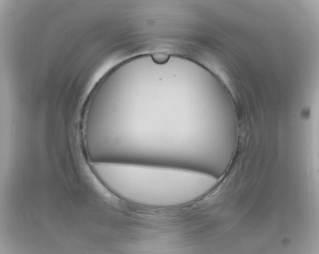 X0000092211091200709140857