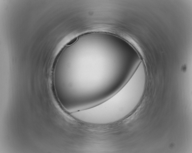 X0000092211093200709140857
