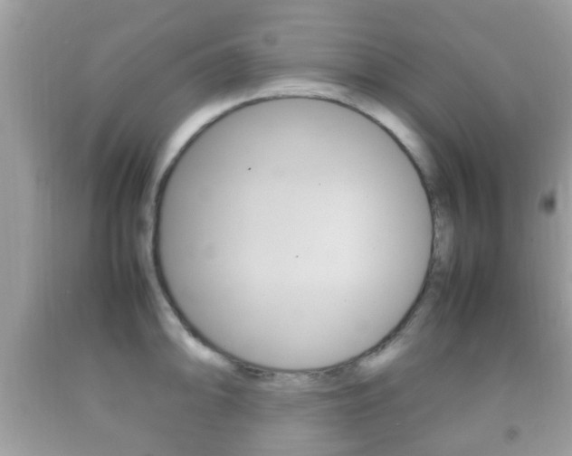 X0000092211094200709140857
