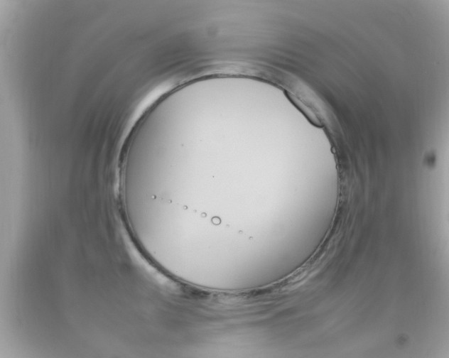 X0000092211095200709140857