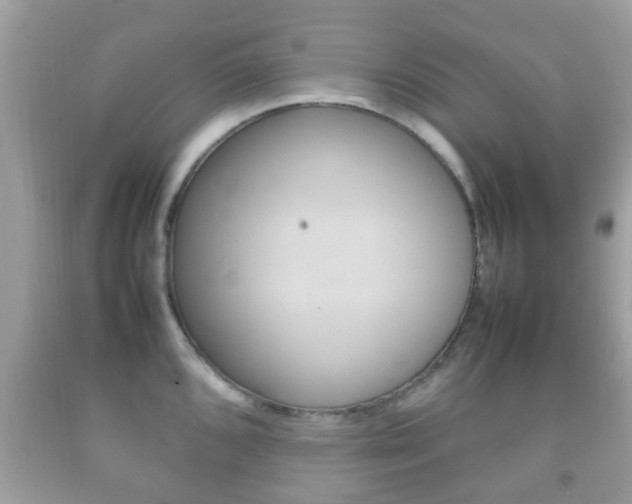 X0000092211096200709140857