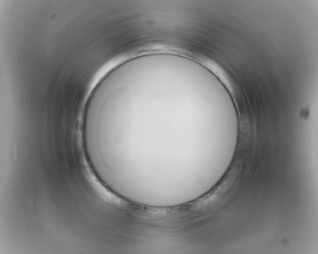 X0000092211098200709140857