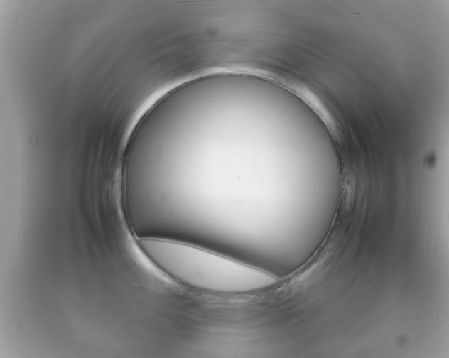 X0000092211100200709140857