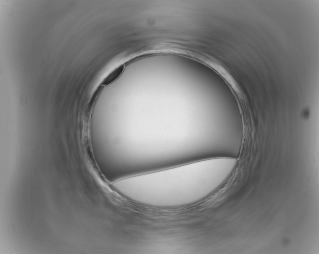 X0000092211101200709140857