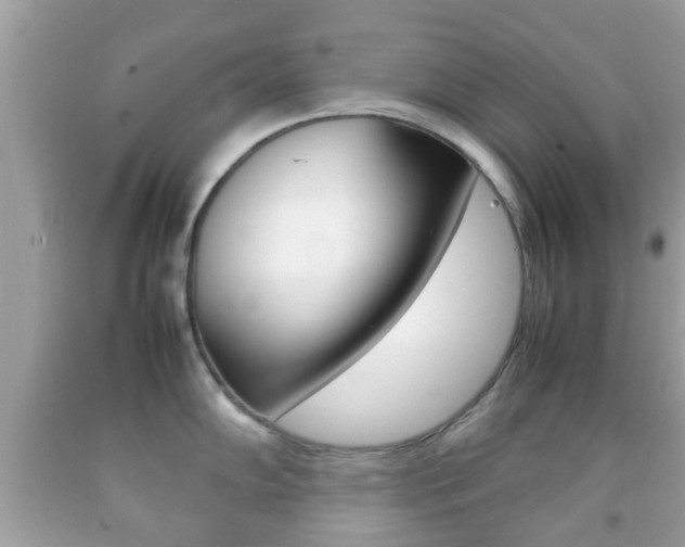 X0000092211102200709140857