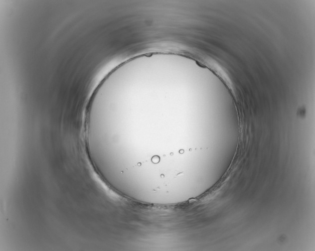 X0000092211103200709140857