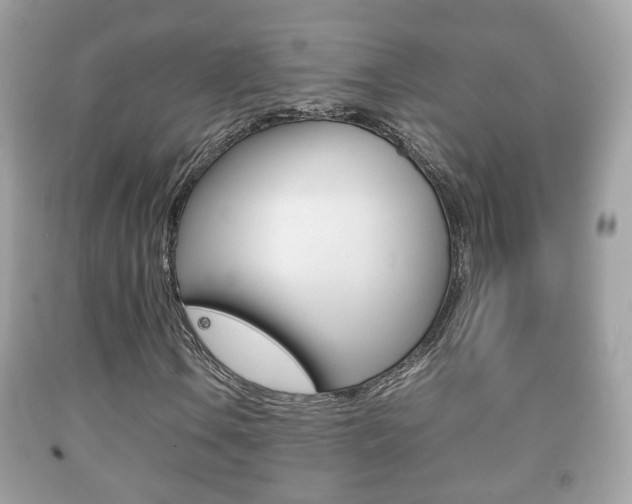 X0000092211106200709140856