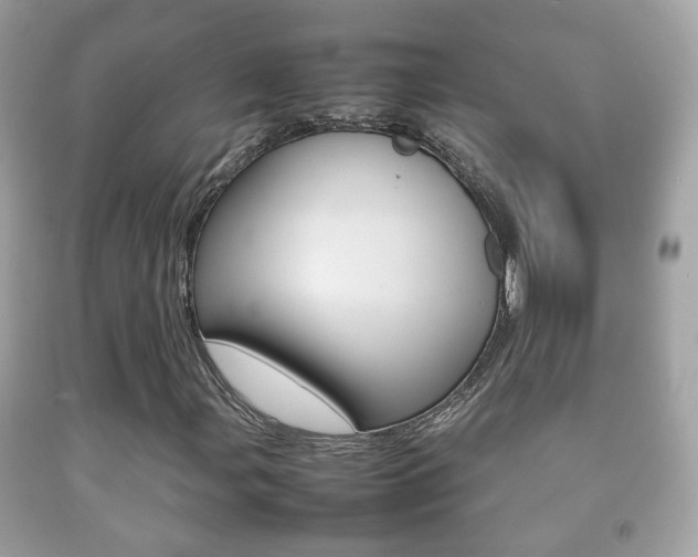X0000092211107200709140856
