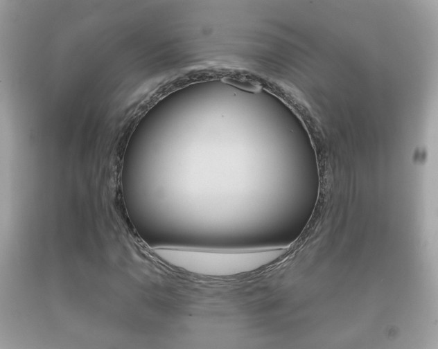 X0000092211110200709140856