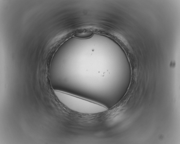 X0000092211111200709140856