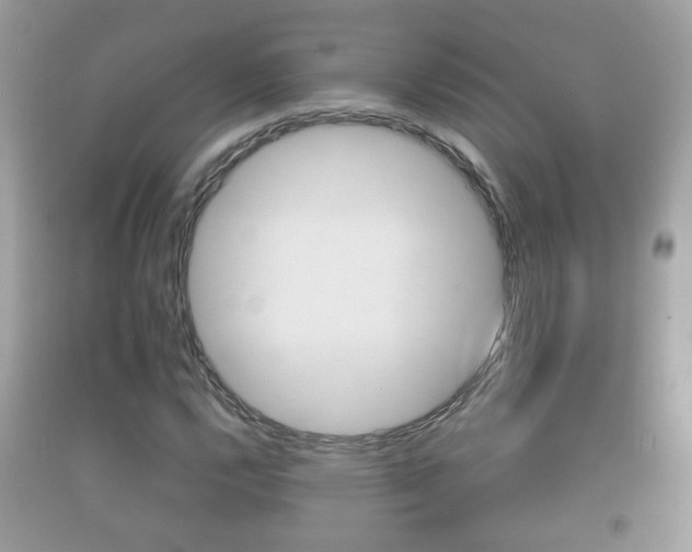 X0000092211112200709140856