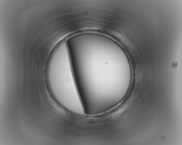 X0000092211113200709140856