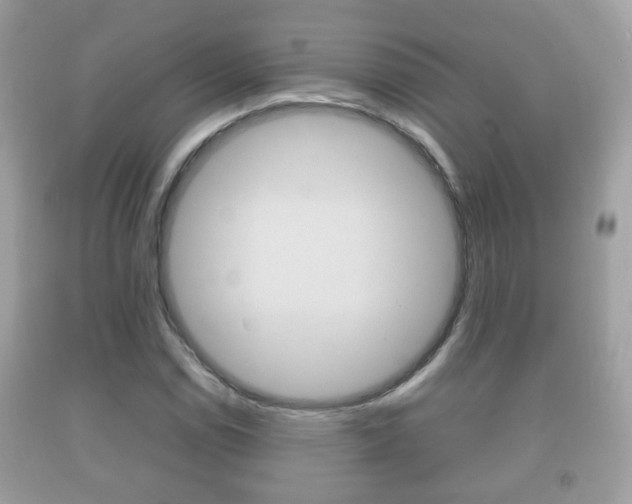 X0000092211114200709140856