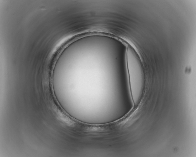 X0000092211115200709140856