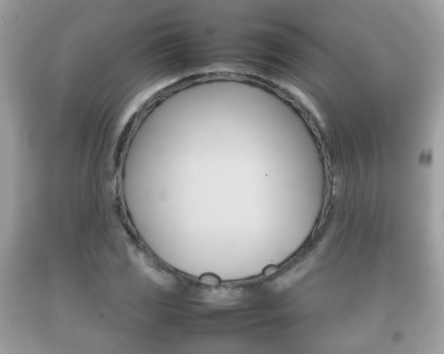 X0000092211117200709140856