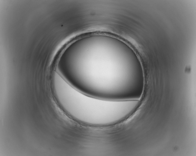 X0000092211118200709140856