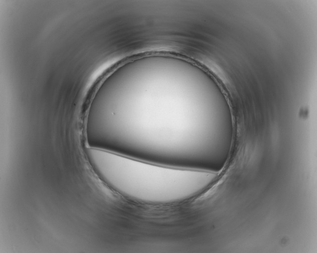 X0000092211119200709140856