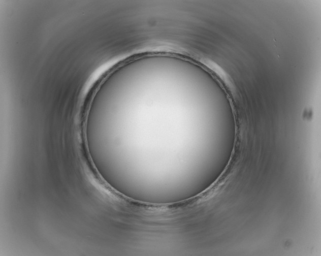 X0000092211120200709140856