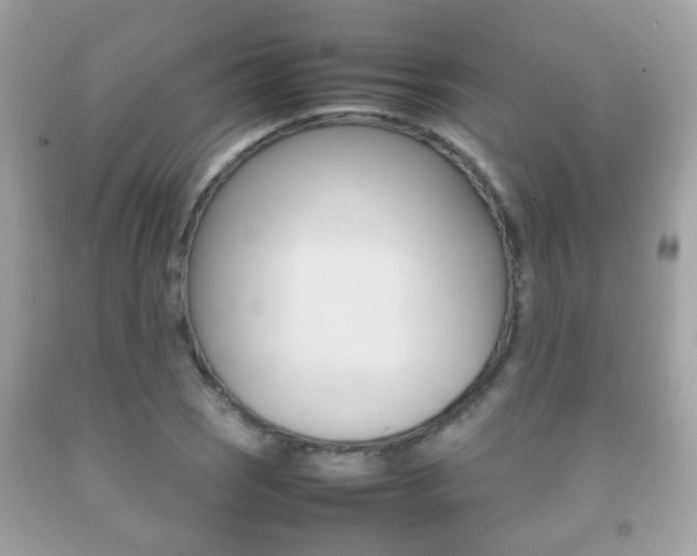 X0000092211121200709140856