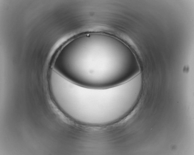X0000092211122200709140856