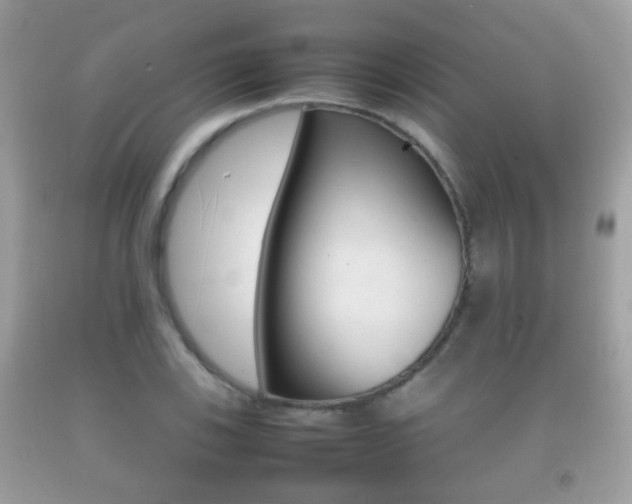 X0000092211123200709140856