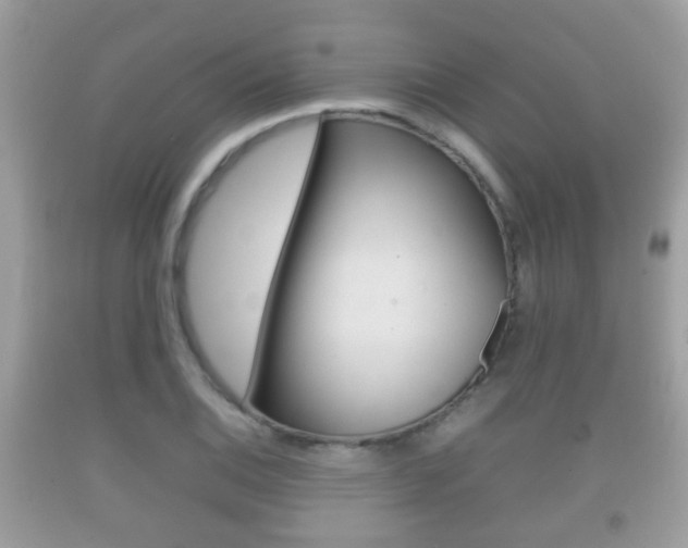 X0000092211124200709140856