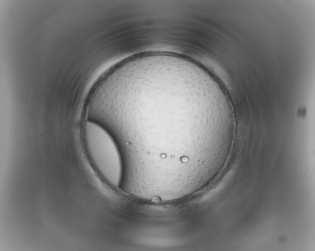 X0000092211125200709140856