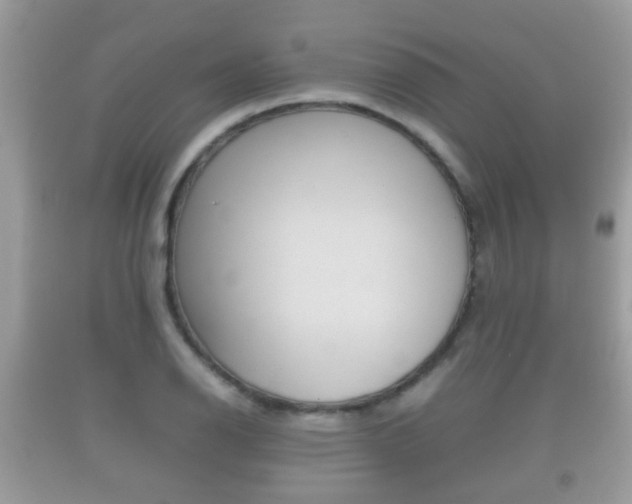 X0000092211126200709140856